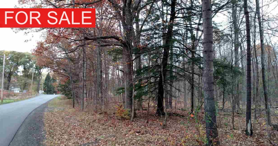 LAND FOR SALE -- nearly 8 acres in Delmar, NY